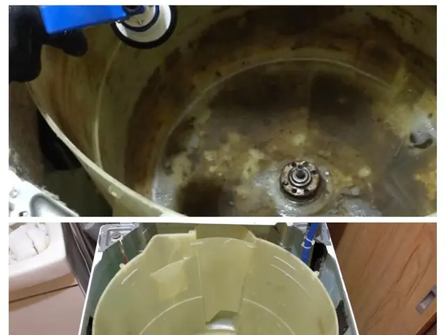 人気上昇中！洗濯機クリーニングで普段の洗濯のお悩みを解決します！サービスの画像