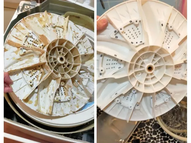 人気上昇中！洗濯機クリーニングで普段の洗濯のお悩みを解決します！サービスの画像