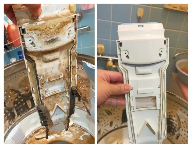 人気上昇中！洗濯機クリーニングで普段の洗濯のお悩みを解決します！サービスの画像