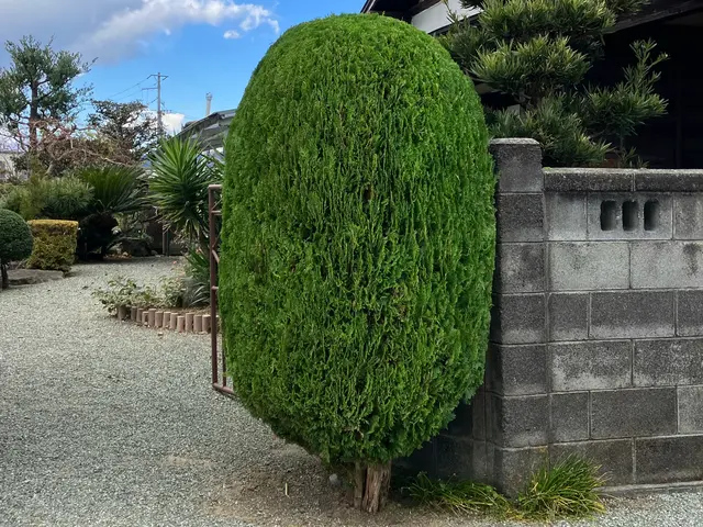 5年の実績と確かな腕で、あなたの庭を心地よい空間に変える匠の技サービスの画像