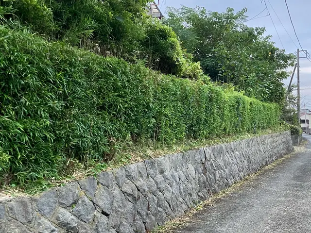 5年の実績と確かな腕で、あなたの庭を心地よい空間に変える匠の技サービスの画像