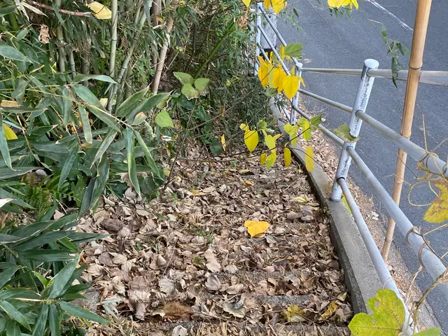 皆様のお困り事をいち早く解決！サポートサービスKizunaにお任せください！サービスの画像