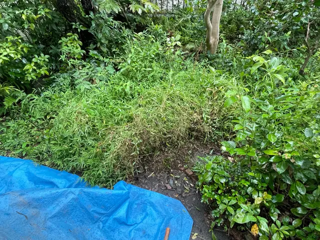 丁寧にサクサク草むしります！サービスの画像