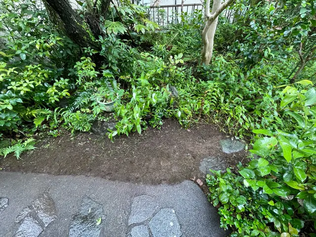 丁寧にサクサク草むしります！サービスの画像