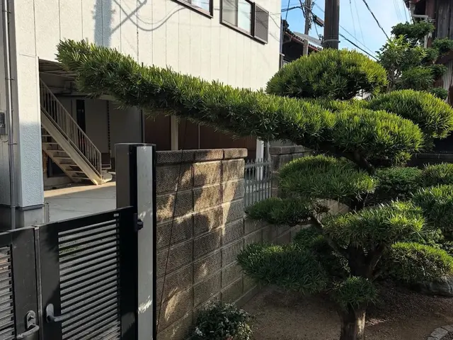 庭の剪定・木の伐採・草刈り・草抜き　　本格的な日本庭園から洋物の木々までお任せサービスの画像