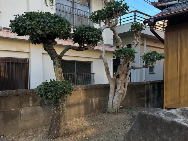 庭の剪定・木の伐採・草刈り・草抜き　　本格的な日本庭園から洋物の木々までお任せサービスの画像