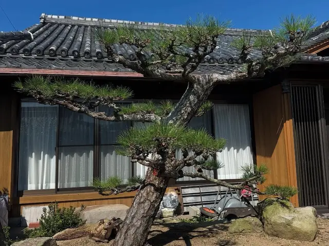 庭の剪定・木の伐採・草刈り・草抜き　　本格的な日本庭園から洋物の木々までお任せサービスの画像