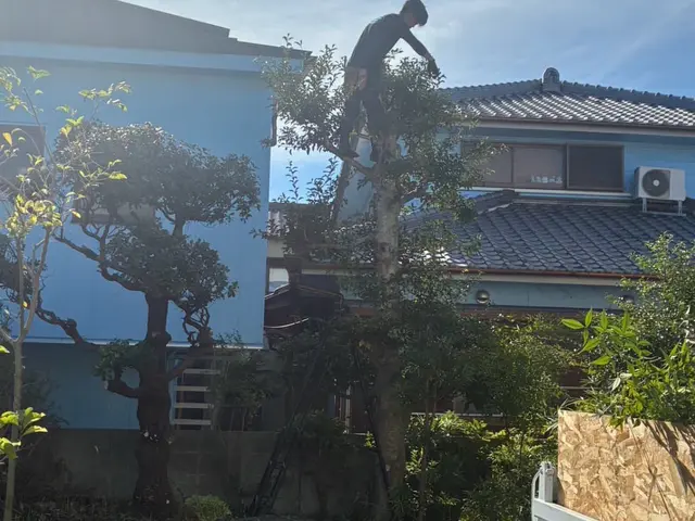 庭の剪定・木の伐採・草刈り・草抜き　　本格的な日本庭園から洋物の木々までお任せサービスの画像