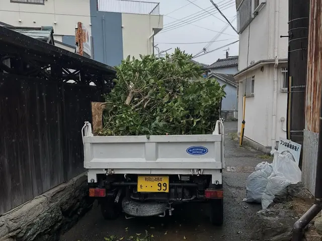 庭の剪定・木の伐採・草刈り・草抜き　　本格的な日本庭園から洋物の木々までお任せサービスの画像