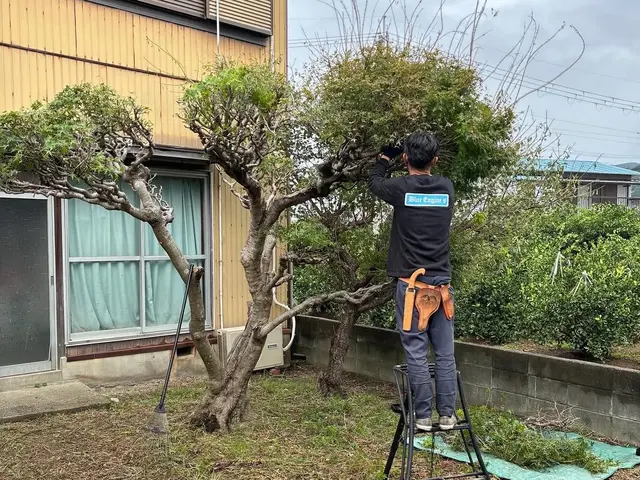 庭の剪定・木の伐採・草刈り・草抜き　　本格的な日本庭園から洋物の木々までお任せサービスの画像