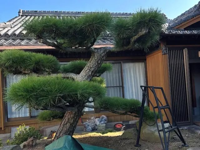 庭の剪定・木の伐採・草刈り・草抜き　　本格的な日本庭園から洋物の木々までお任せサービスの画像