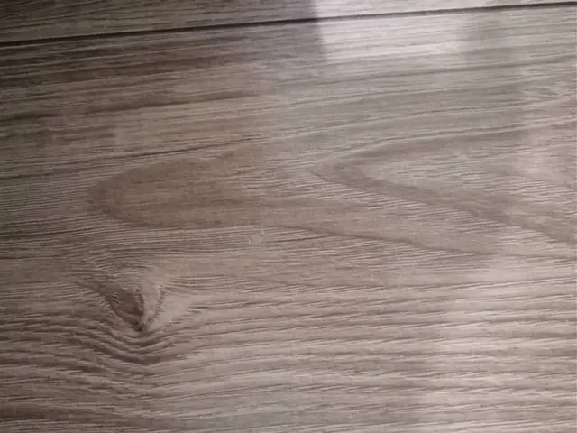 即日対応可、31日以降まだ空枠あり！☆補修専門☆床・壁・扉、サッシの補修はお任せサービスの画像