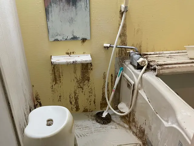 【☆定番商品☆】安心・安全・親切・丁寧！口コミ優良店☆ランキング1位獲得☆サービスの画像