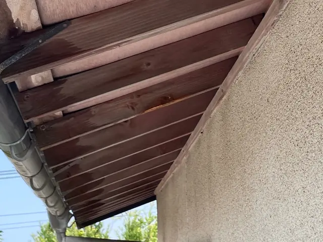 ミツバチ18,000円アシナガバチ15,000円スズメバチ10,000円サービスの画像