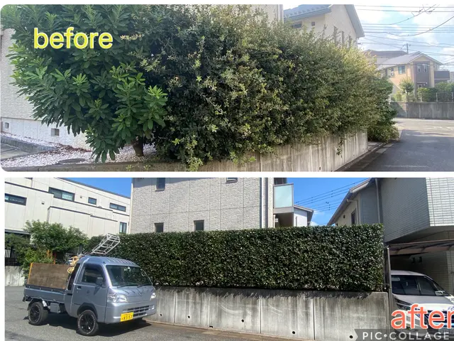 爽やかな風、心地よい光、自然に触れあえる整った庭で、心も整えてみませんか？サービスの画像