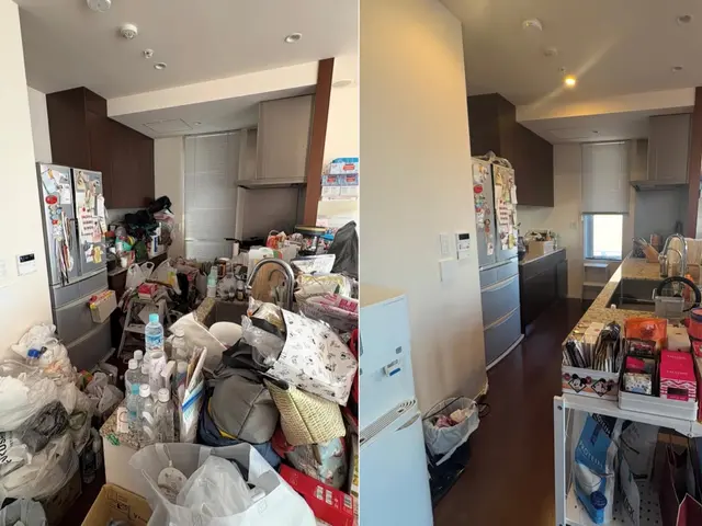 実績3000件！リバウンドを防ぐ整理収納サポート（2名対応・買い物同行可能)サービスの画像