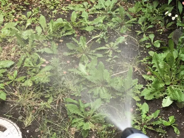 見積無料【徹底駆除】適正価格／実績多数／カード対応／損保加入／プライバシー厳守サービスの画像