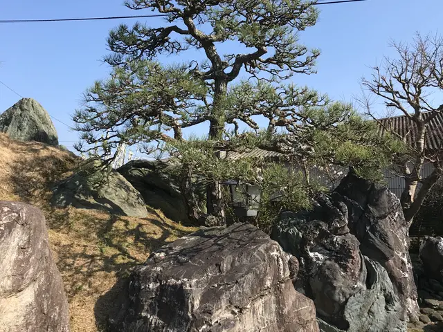 個人庭を中心に 実務40年の国家 一級造園施工管理士ですサービスの画像