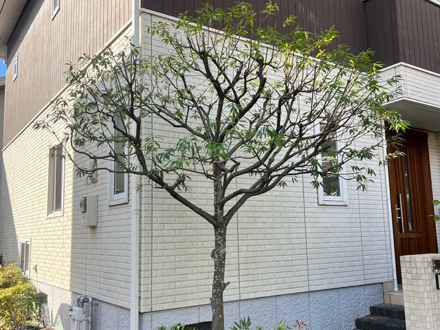 個人庭を中心に 実務40年の国家 一級造園施工管理士ですサービスの画像