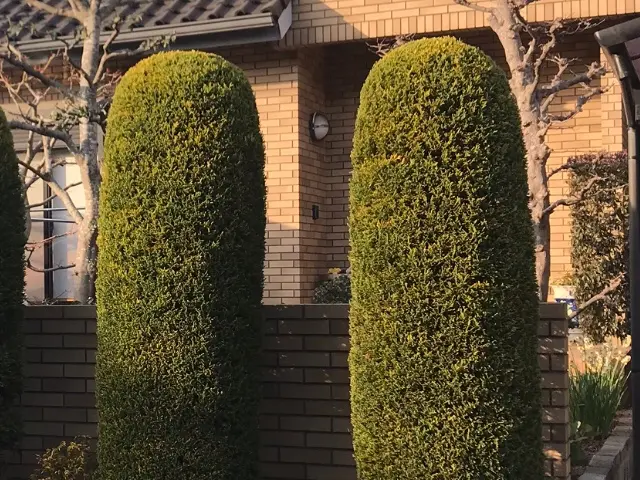 個人庭を中心に 実務40年の国家 一級造園施工管理士ですサービスの画像