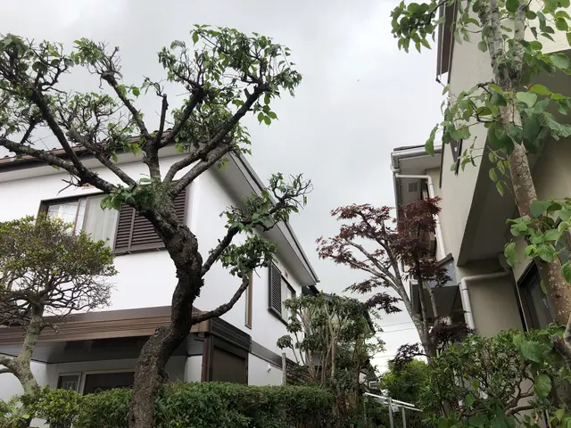 来年1月から予約開始《創業30年の園芸店》綺麗なお庭作りをお客様と一緒にサービスの画像