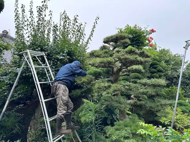 来年1月から予約開始《創業30年の園芸店》綺麗なお庭作りをお客様と一緒にサービスの画像