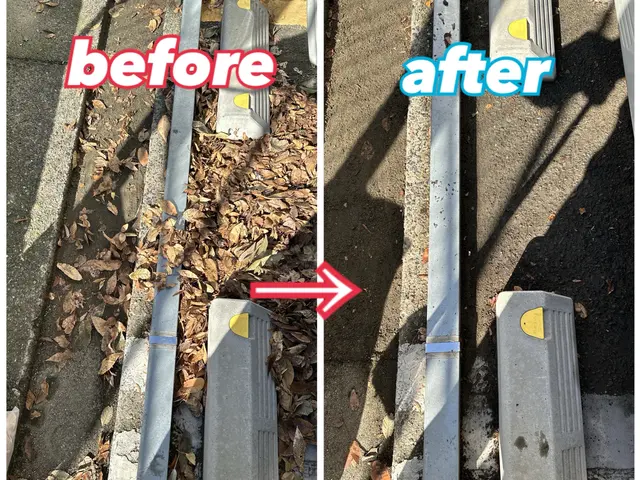 落ち葉のお悩み解決！迅速・綺麗にいたします！庭・家・アパート・駐車場など！サービスの画像