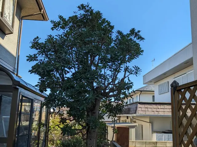 庭木の剪定、草刈り、伐採は【（株）大塚テクニカルサービス】にお任せください！サービスの画像