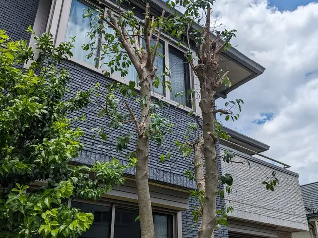 庭木の剪定、草刈り、伐採は【（株）大塚テクニカルサービス】にお任せください！サービスの画像