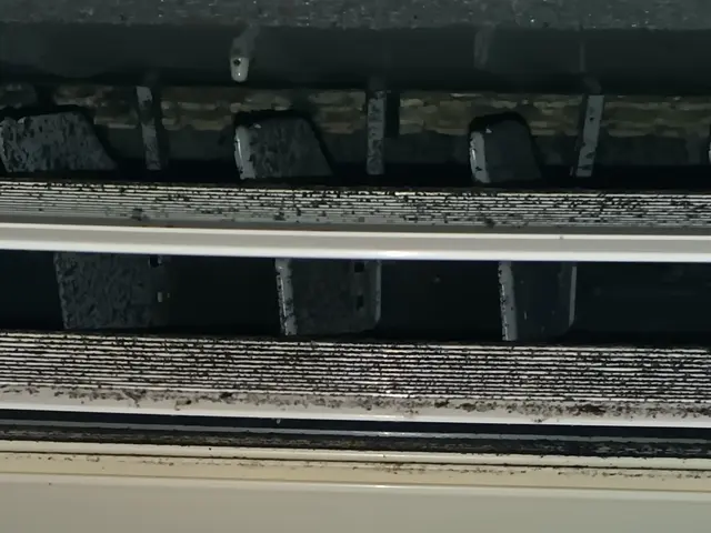 18時対応！夏の汚れを冬までの今のうちに！ワンちゃんネコちゃんがいても大歓迎！サービスの画像