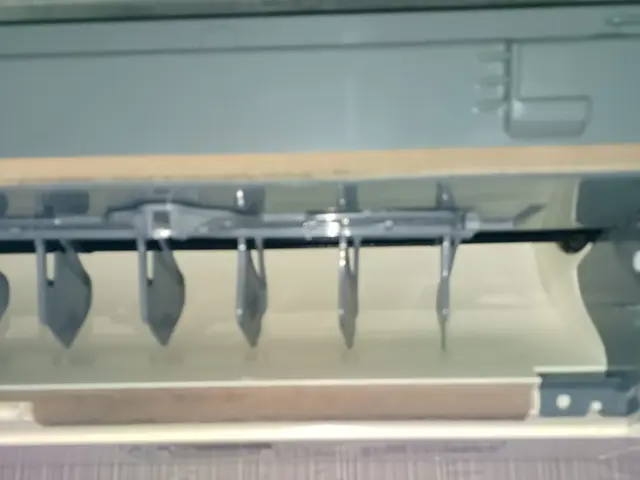 18時対応！夏の汚れを冬までの今のうちに！ワンちゃんネコちゃんがいても大歓迎！サービスの画像