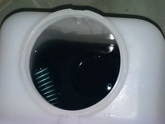 18時対応！夏の汚れを冬までの今のうちに！ワンちゃんネコちゃんがいても大歓迎！サービスの画像