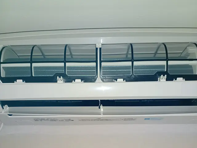 18時対応！夏の汚れを冬までの今のうちに！ワンちゃんネコちゃんがいても大歓迎！サービスの画像