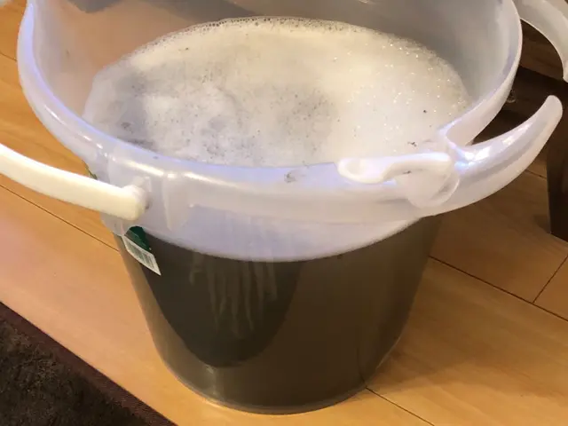 『年末に向け値引中』☆ペット、子供へ安全の洗剤使用☆年間1000台以上施工サービスの画像