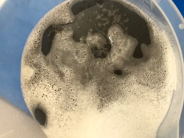 『年末に向け値引中』☆ペット、子供へ安全の洗剤使用☆年間1000台以上施工サービスの画像