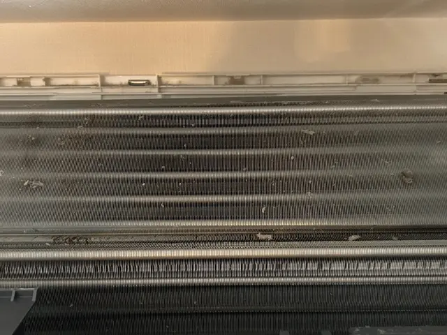 『年末に向け値引中』☆ペット、子供へ安全の洗剤使用☆年間1000台以上施工サービスの画像