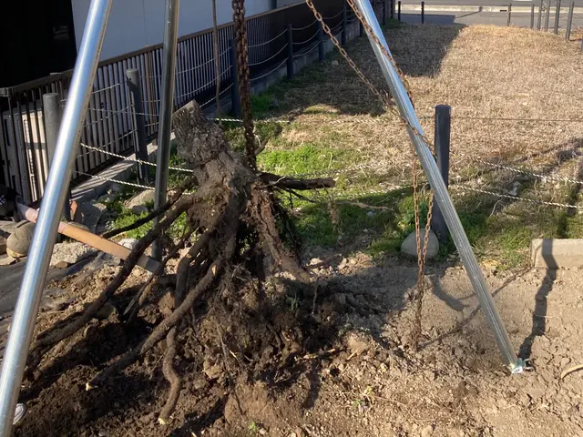 お庭を広く使いたい、この植木が無かったらなど、お任せ下さい、笑顔で対応、無料見積サービスの画像