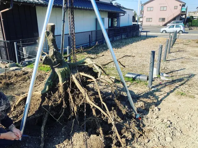 お庭を広く使いたい、この植木が無かったらなど、お任せ下さい、笑顔で対応、無料見積サービスの画像