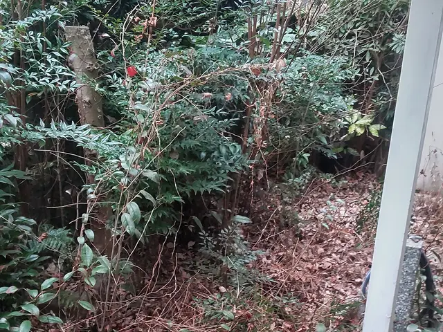 【業歴20年】いつも明るく真面目に楽しく造園業やっております。サービスの画像