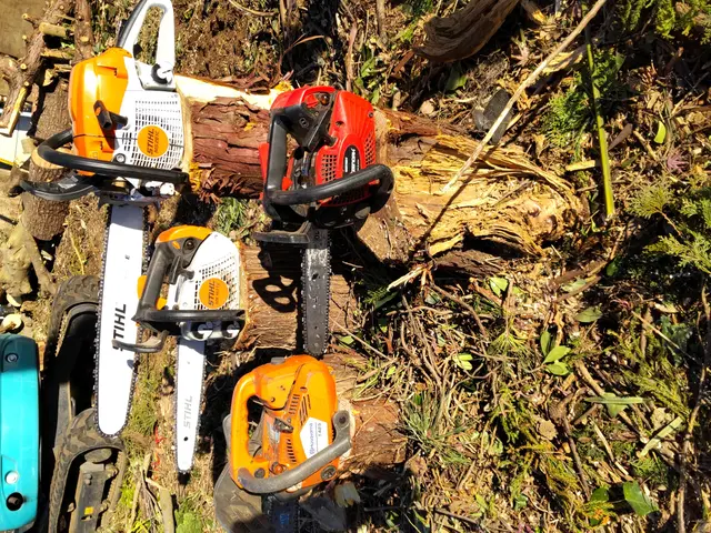 【業歴20年】いつも明るく真面目に楽しく造園業やっております。サービスの画像