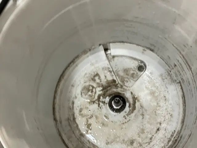 元気よく明るく綺麗のお手伝い！サービスの画像