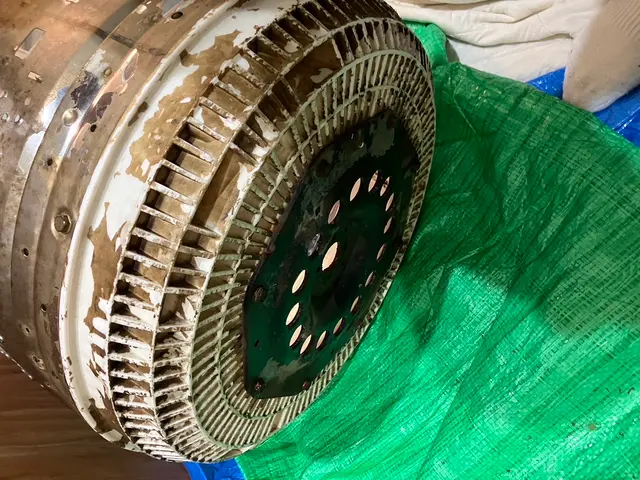 元気よく明るく綺麗のお手伝い！サービスの画像