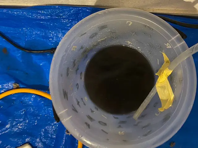 【松戸発】東京都★千葉県★埼玉県★1台室内機10000円★中国語OKサービスの画像