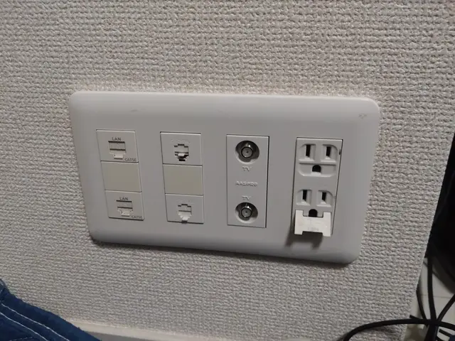 【東京･埼玉(一部)対応】TV端子の交換【CATV工事経験者】※料金は1口端子込サービスの画像