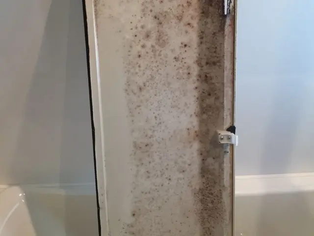 ◉嫌〜なヌルヌル/カビはお任せ下さい。カガミもピカピカ【お風呂クリーニング】サービスの画像