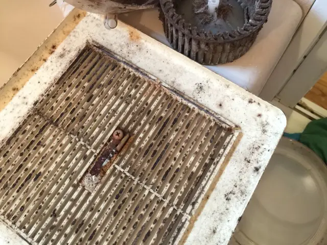 ◉嫌〜なヌルヌル/カビはお任せ下さい。カガミもピカピカ【お風呂クリーニング】サービスの画像