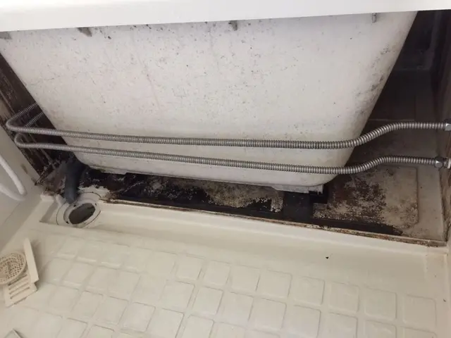 ◉嫌〜なヌルヌル/カビはお任せ下さい。カガミもピカピカ【お風呂クリーニング】サービスの画像