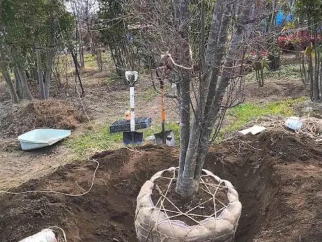 安心の損害保険加入済み◎100％自社対応◎営業時間外もご相談ください！サービスの画像