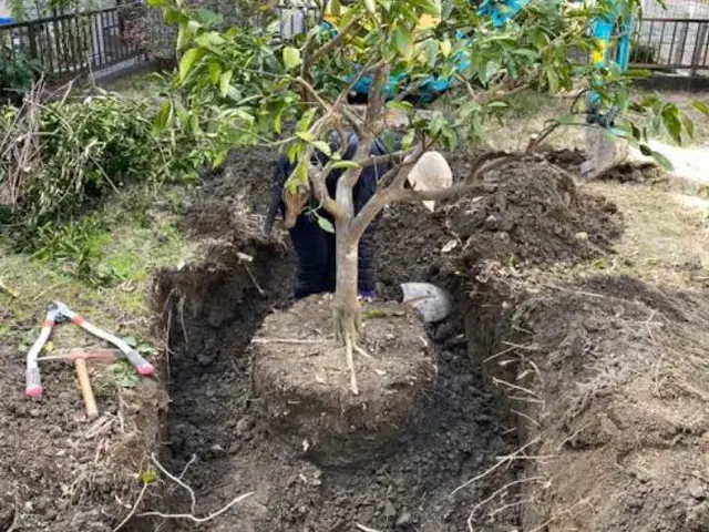 安心の損害保険加入済み◎100％自社対応◎営業時間外もご相談ください！サービスの画像