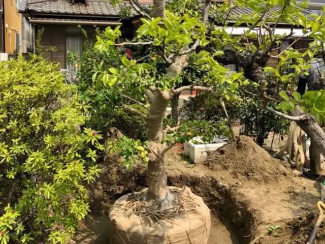 安心の損害保険加入済み◎100％自社対応◎営業時間外もご相談ください！サービスの画像